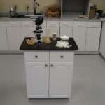 Testing Lab Case Goods and Countertop